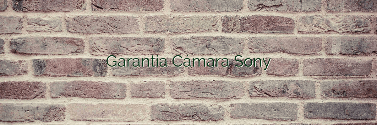Garantia Cámara Sony